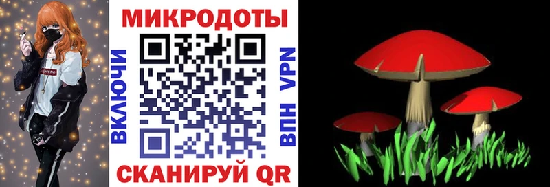 МЕГА рабочий сайт  Благовещенск  Псилоцибиновые грибы прущие грибы  как найти наркотики 